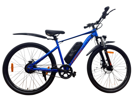 Electric Bicycle's top two Gearing System