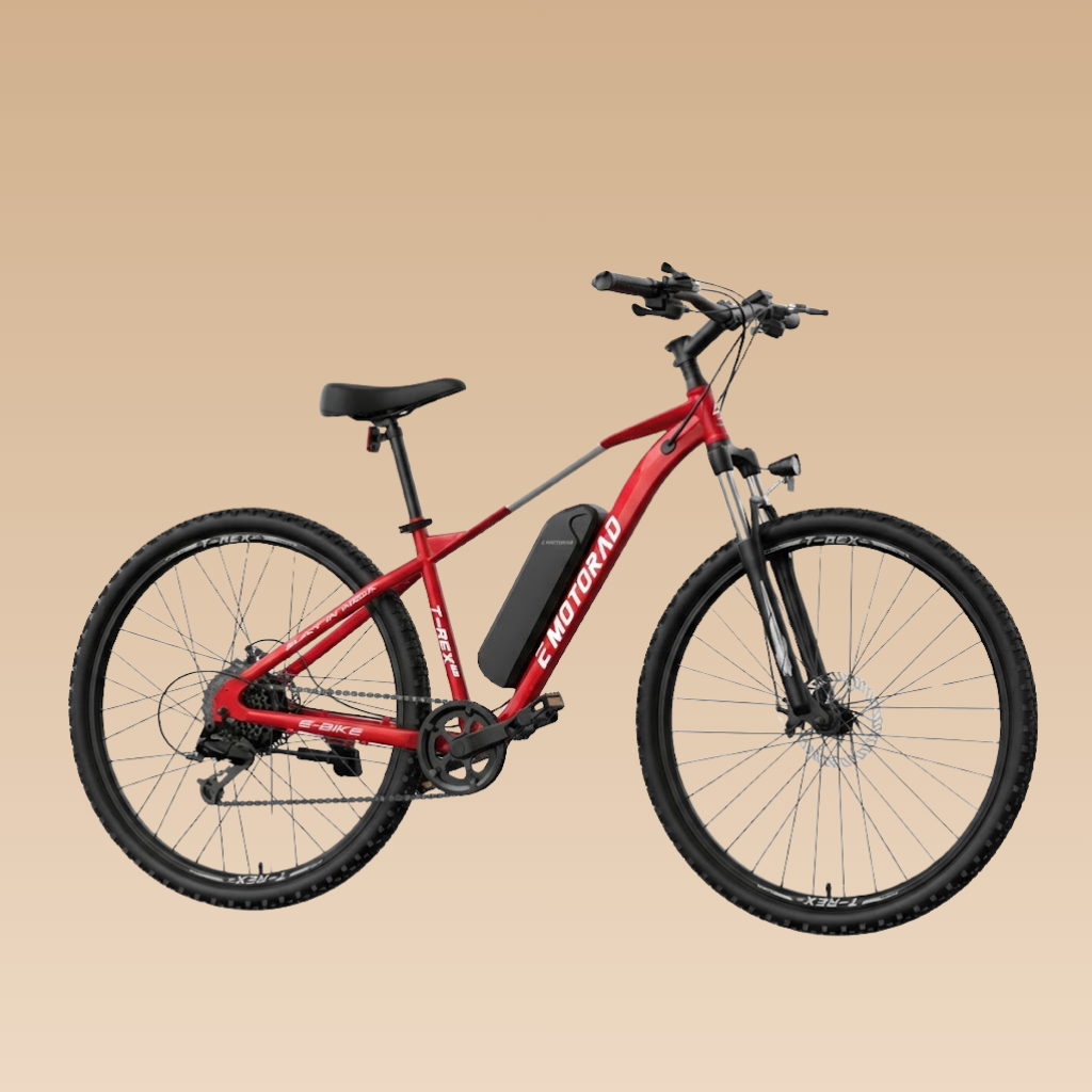 EMotorad 29 T-Rex Air E-Bicycle