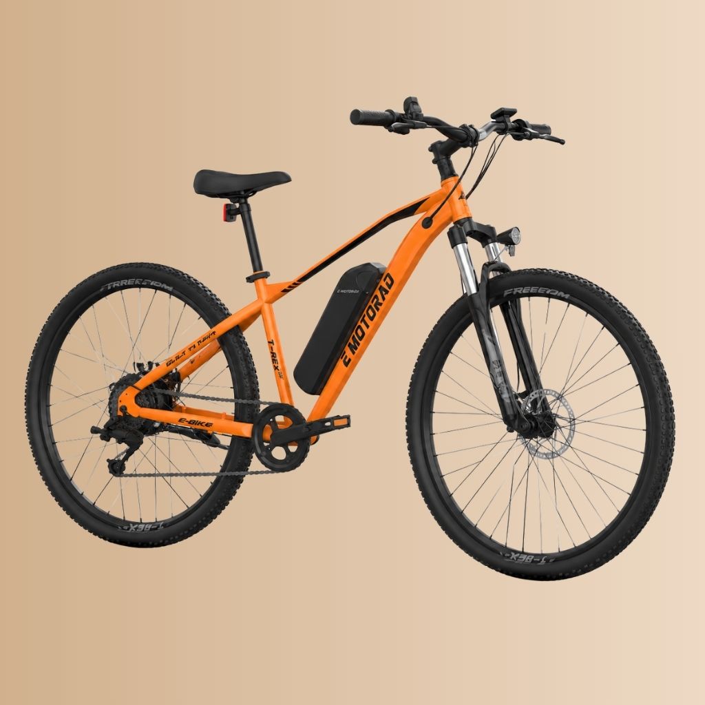 EMotorad 27.5 T-Rex Air