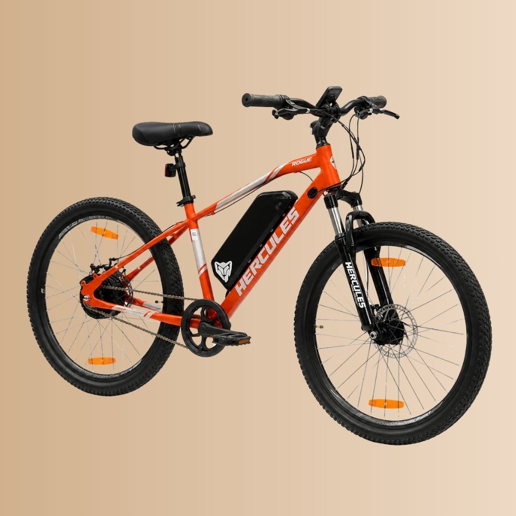Hercules Rogue Single Speed E-Bicycle