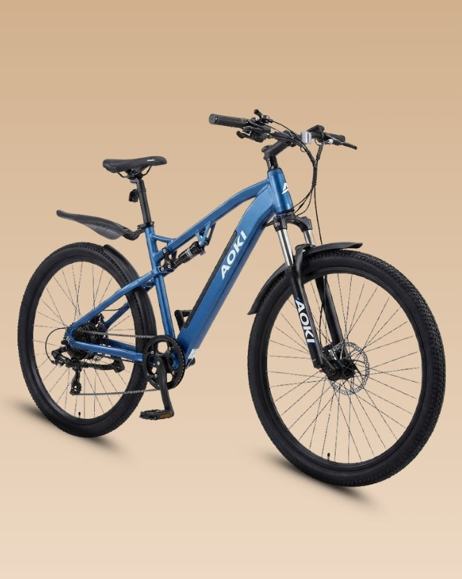 Electric Bicycles
