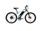 Hercules Rogue Single Speed E-Bicycle