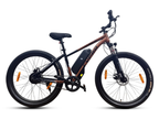 Cypro 26 Pulse II Gen E-Bicycle