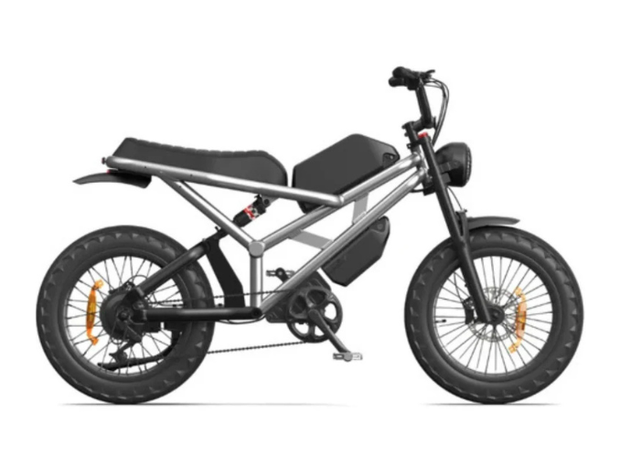 Pedaleze Ranger (Moped E-Bicycle)