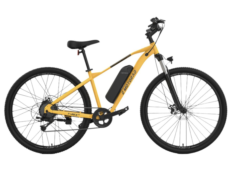 EMotorad 29 T-Rex Air