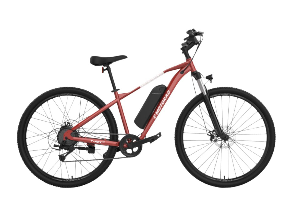 EMotorad 29 T-Rex Air