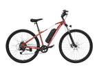 EMotorad 29 T-Rex Air