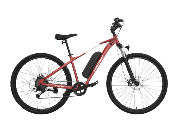 EMotorad 29 T-Rex Air