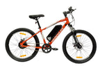 Hercules Rogue Single Speed E-Bicycle